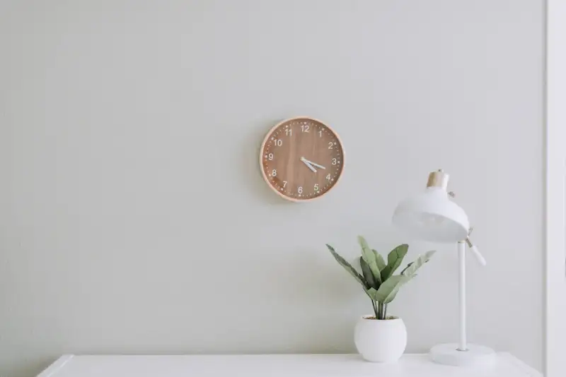 Minimal wall with a clock and a small plant