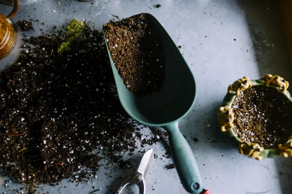 Seeds and a garden scoop on dark soil, echoing the farming sims we test